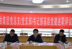 集團召開2016年度黨總支（黨支部）書記抓基層黨建述職評議考核大會