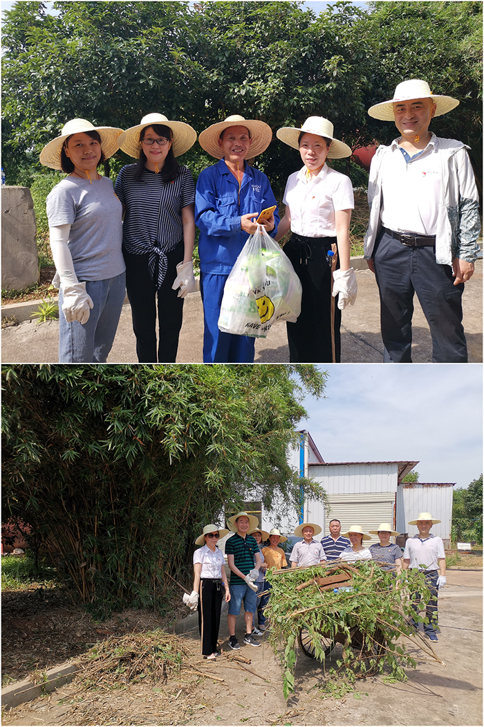 糧油集團二支部“學史力行”踐行動