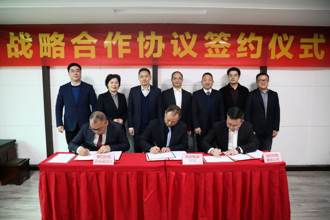 湖南糧油集團參與中非經貿合作座談會 共同打造湖南中非醫藥食品進出口平臺