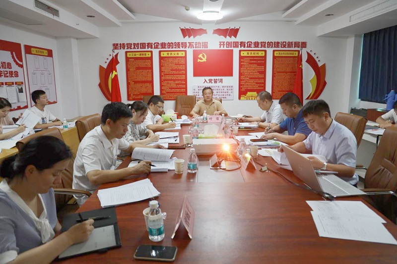 湖南糧油集團(tuán)召開黨委理論學(xué)習(xí)中心組第八次集中學(xué)習(xí)暨“以學(xué)促干”專題研討